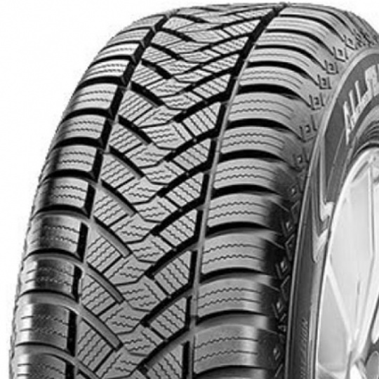 Maxxis All Season AP2 175/70 R 13 82T